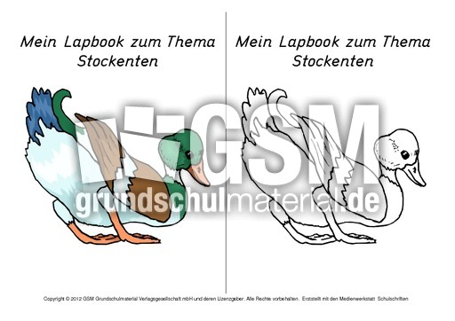 Titelseite-Stockente-1.pdf